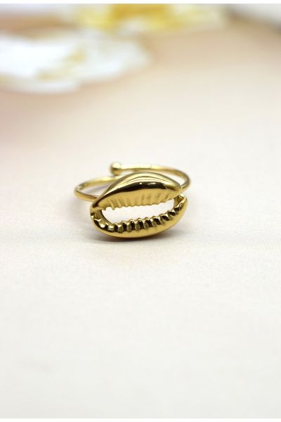 BAGUE EN ACIER