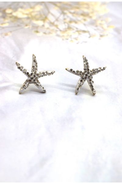 BOUCLE D'OREILLE EN ACIER