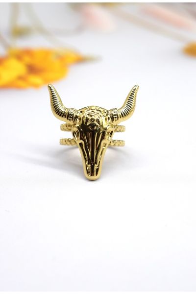 BAGUE EN ACIER