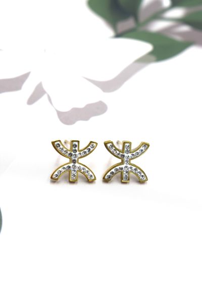 BOUCLE D'OREILLE EN ACIER