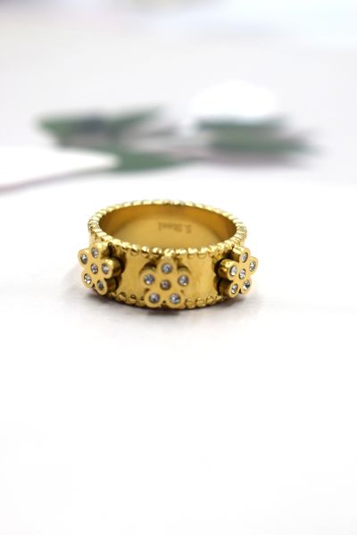 BAGUE EN AICER