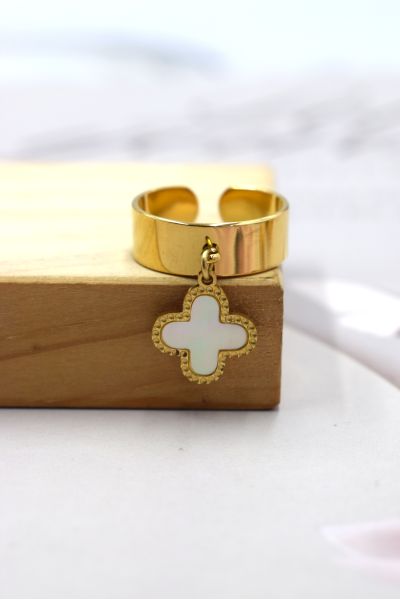 BAGUE EN AICER