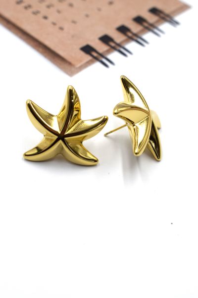 BOUCLES D'OREILLES EN ACIER