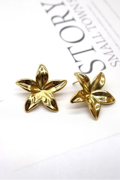 BOUCLES D'OREILLES EN ACIER