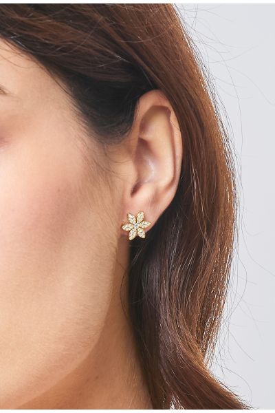 BOUCLES D'OREILLES EN ACIER...