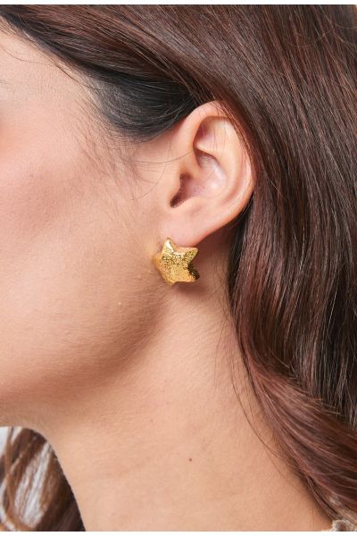 BOUCLES D'OREILLES EN ACIER...