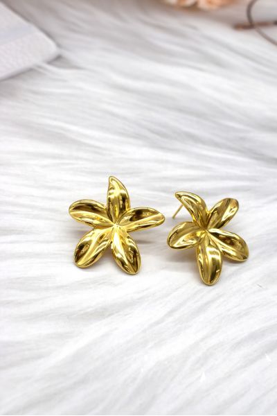 BOUCLES D'OREILLES EN ACIER...