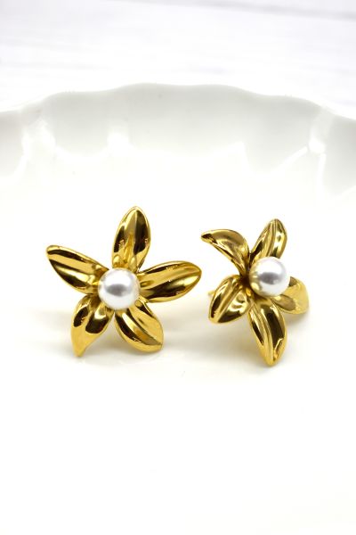 BOUCLES D'OREILLES EN ACIER...