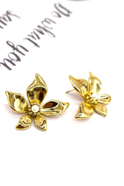 BOUCLES D'OREILLES EN ACIER...