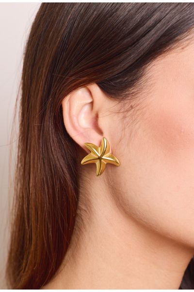 BOUCLES D'OREILLES EN ACIER...