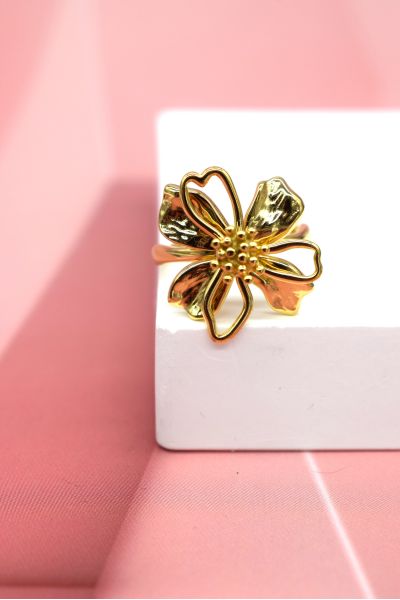 BAGUE AJUSTABLE EN ACIER...