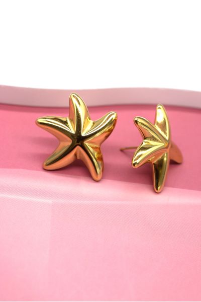 BOUCLES D'OREILLES EN ACIER...