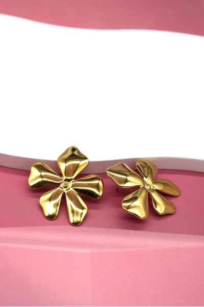 BOUCLES D'OREILLES EN ACIER...