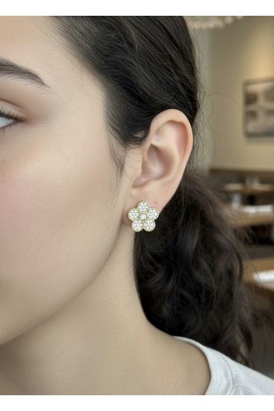 BOUCLES D'OREILLES EN ACIER...