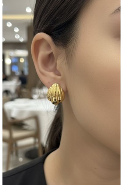 BOUCLES D'OREILLES EN ACIER...