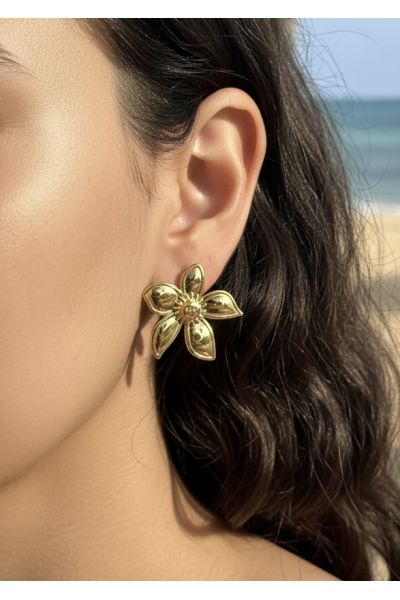 BOUCLES D'OREILLES EN ACIER...