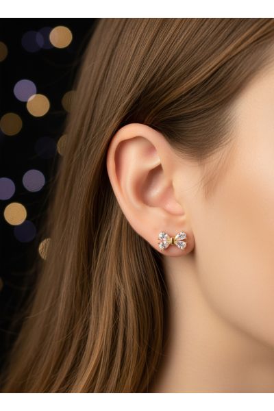 BOUCLES D'OREILLES EN ACIER...