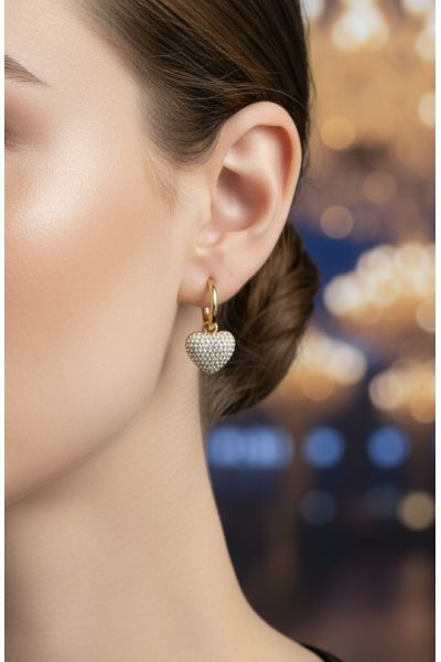 BOUCLES D'OREILLES EN ACIER...
