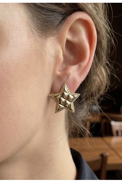 BOUCLES D'OREILLES EN ACIER...