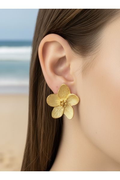 BOUCLES D'OREILLES EN ACIER...