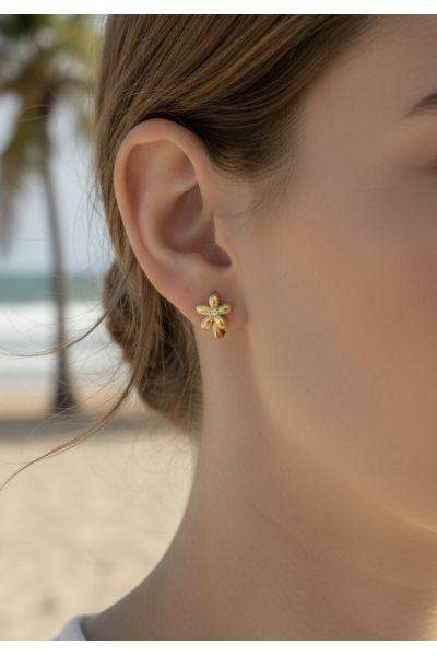 BOUCLES D'OREILLES EN ACIER...