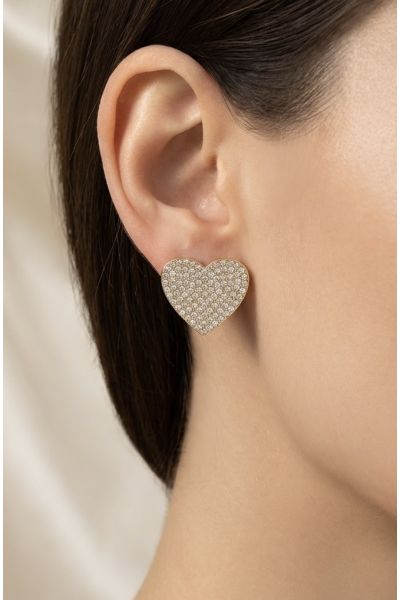 BOUCLES D'OREILLES EN ACIER...