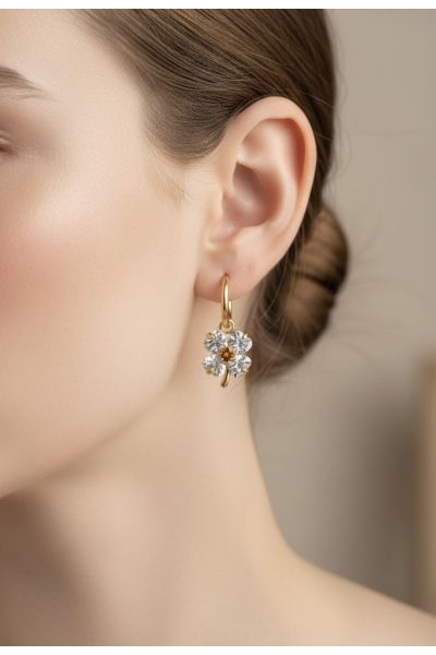 BOUCLES D'OREILLES EN ACIER...
