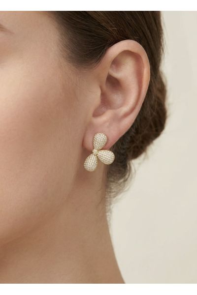 BOUCLES D'OREILLES EN ACIER...