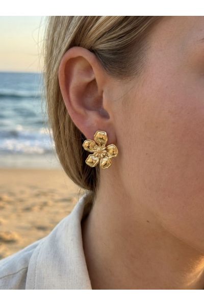 BOUCLES D'OREILLES EN ACIER...