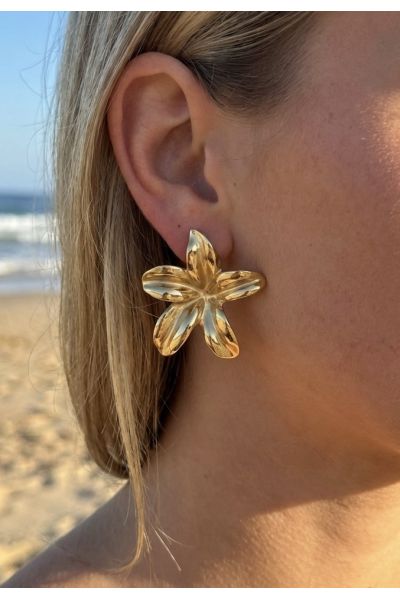 BOUCLES D'OREILLES EN ACIER...