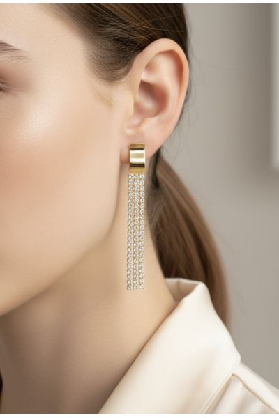 BOUCLES D'OREILLES EN ACIER...