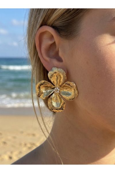 BOUCLES D'OREILLES EN ACIER...
