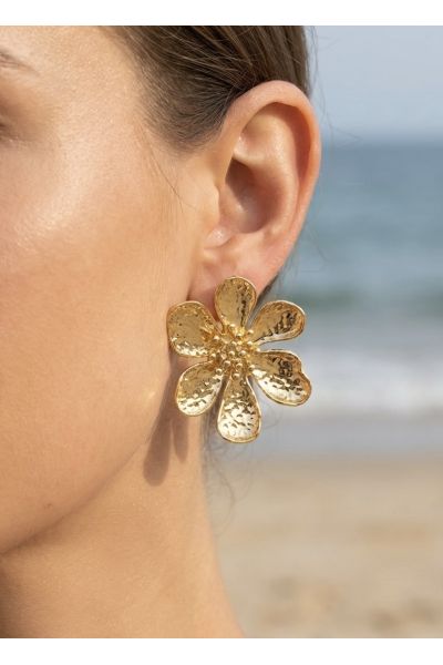 BOUCLES D'OREILLES EN ACIER...