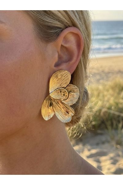 BOUCLES D'OREILLES EN ACIER...