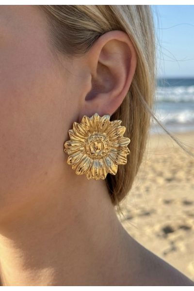 BOUCLES D'OREILLES EN ACIER...