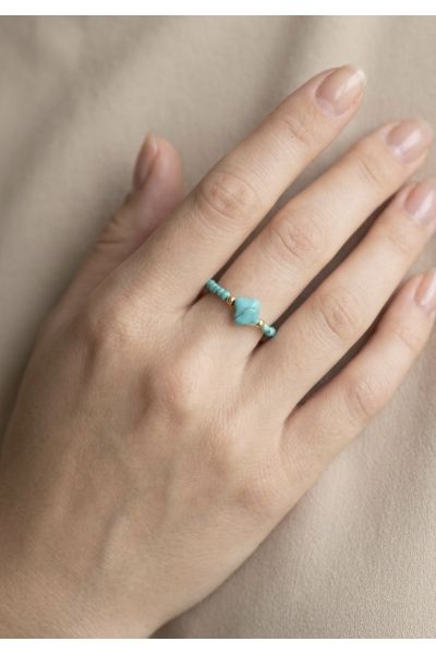 BAGUE EN AICER